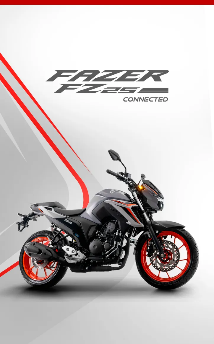 Banner Fazer 250 ABS